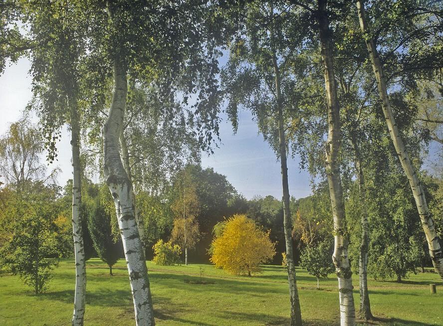 בארנט West Lodge Park מראה חיצוני תמונה